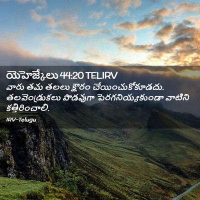 Picture 02 - యెహెజ్కేలు 44:20 TELIRV - వారు తమ తలలు - Bible Verse Picture
