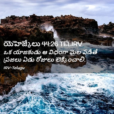 Picture 02 - యెహెజ్కేలు 44:26 TELIRV - ఒక యాజకుడు ఆ - Bible Verse Picture
