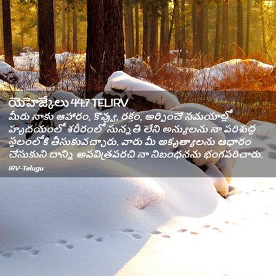 Picture 02 - యెహెజ్కేలు 44:7 TELIRV - మీరు నాకు ఆహారం, - Bible Verse Picture