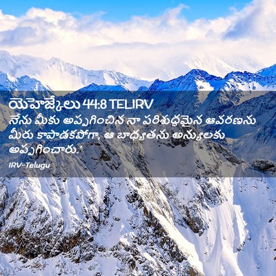 Picture 02 - యెహెజ్కేలు 44:8 TELIRV - నేను మీకు - Bible Verse Picture