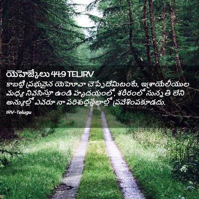 Picture 02 - యెహెజ్కేలు 44:9 TELIRV - కాబట్టి ప్రభువైన - Bible Verse Picture