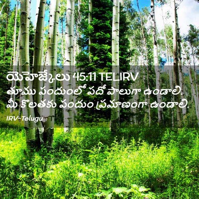 Picture 02 - యెహెజ్కేలు 45:11 TELIRV - తూము పందుంలో పదో - Bible Verse Picture