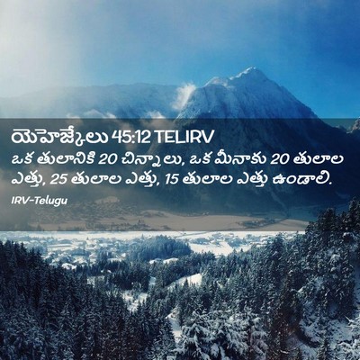 Picture 02 - యెహెజ్కేలు 45:12 TELIRV - ఒక తులానికి 20 - Bible Verse Picture