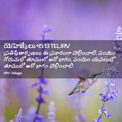 Picture 02 - యెహెజ్కేలు 45:13 TELIRV -  - Bible Verse Picture
