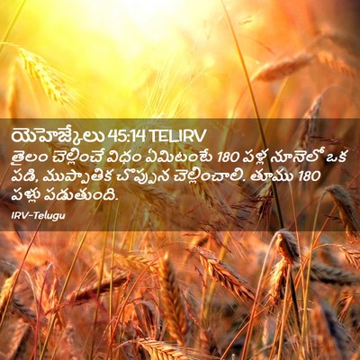 Picture 02 - యెహెజ్కేలు 45:14 TELIRV - తైలం చెల్లించే - Bible Verse Picture