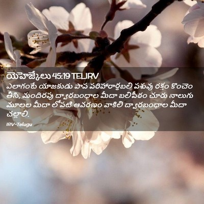 Picture 02 - యెహెజ్కేలు 45:19 TELIRV - ఎలాగంటే యాజకుడు - Bible Verse Picture