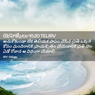 Picture 02 - యెహెజ్కేలు 45:20 TELIRV - అనుకోకుండా లేక - Bible Verse Picture