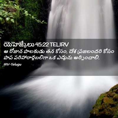 Picture 02 - యెహెజ్కేలు 45:22 TELIRV - ఆ రోజున పాలకుడు తన - Bible Verse Picture
