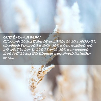 Picture 02 - యెహెజ్కేలు 45:4 TELIRV - యెహోవాకు పరిచర్య - Bible Verse Picture