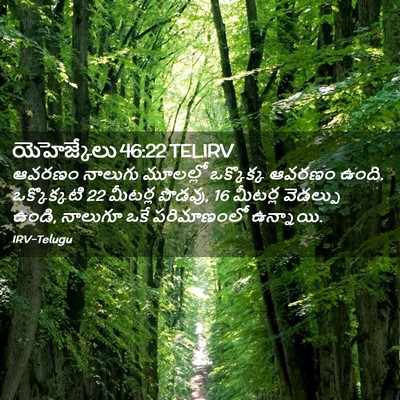 Picture 02 - యెహెజ్కేలు 46:22 TELIRV - ఆవరణం నాలుగు - Bible Verse Picture