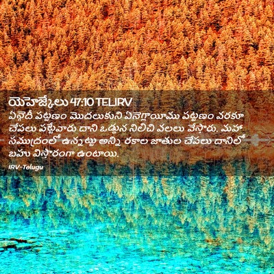 Picture 02 - యెహెజ్కేలు 47:10 TELIRV - ఏన్గెదీ పట్టణం - Bible Verse Picture