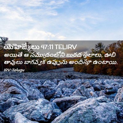 Picture 02 - యెహెజ్కేలు 47:11 TELIRV - అయితే ఆ - Bible Verse Picture
