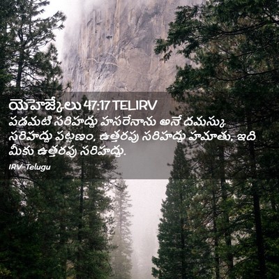 Picture 02 - యెహెజ్కేలు 47:17 TELIRV - పడమటి సరిహద్దు - Bible Verse Picture