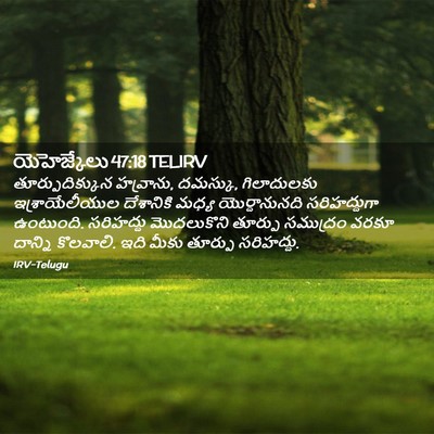 Picture 02 - యెహెజ్కేలు 47:18 TELIRV - తూర్పుదిక్కున - Bible Verse Picture