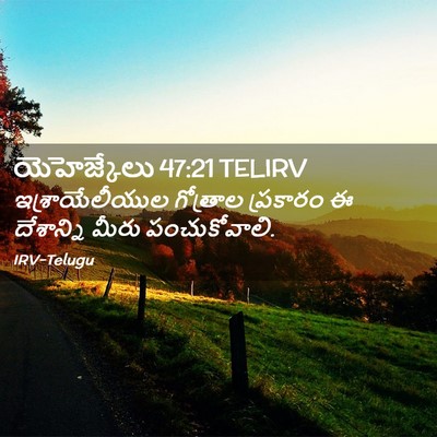 Picture 02 - యెహెజ్కేలు 47:21 TELIRV - ఇశ్రాయేలీయుల - Bible Verse Picture