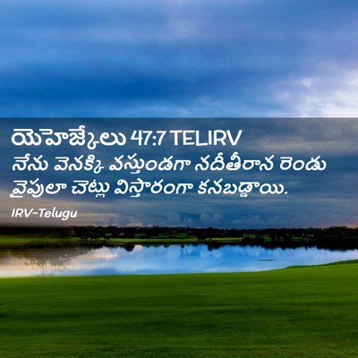 Picture 02 - యెహెజ్కేలు 47:7 TELIRV - నేను వెనక్కి - Bible Verse Picture