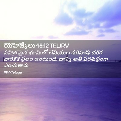 Picture 02 - యెహెజ్కేలు 48:12 TELIRV - పవిత్రమైన భూమిలో - Bible Verse Picture