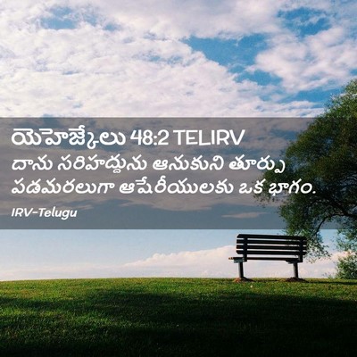 Picture 02 - యెహెజ్కేలు 48:2 TELIRV - దాను సరిహద్దును - Bible Verse Picture