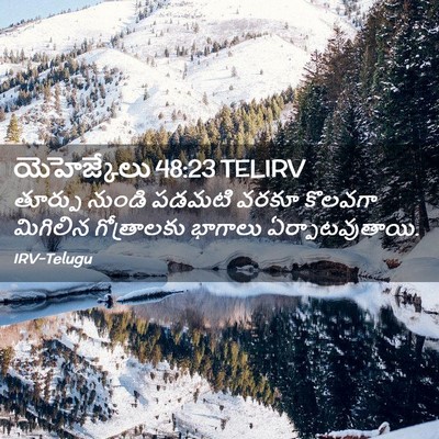 Picture 02 - యెహెజ్కేలు 48:23 TELIRV - తూర్పు నుండి - Bible Verse Picture