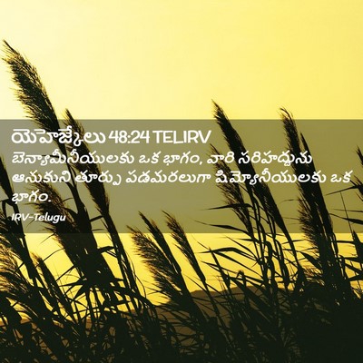 Picture 02 - యెహెజ్కేలు 48:24 TELIRV - బెన్యామీనీయులకు - Bible Verse Picture