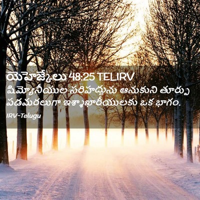 Picture 02 - యెహెజ్కేలు 48:25 TELIRV - షిమ్యోనీయుల - Bible Verse Picture