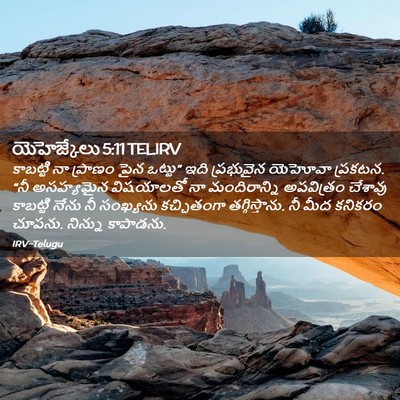 Picture 02 - యెహెజ్కేలు 5:11 TELIRV - కాబట్టి నా ప్రాణం - Bible Verse Picture
