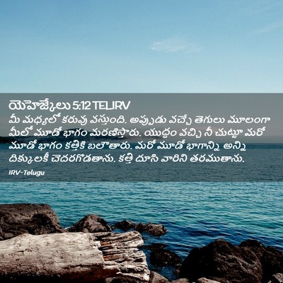 Picture 02 - యెహెజ్కేలు 5:12 TELIRV - మీ మధ్యలో కరువు - Bible Verse Picture