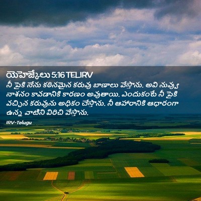 Picture 02 - యెహెజ్కేలు 5:16 TELIRV - నీ పైకి నేను - Bible Verse Picture