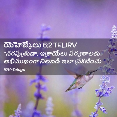 Picture 02 - యెహెజ్కేలు 6:2 TELIRV - “నరపుత్రుడా, - Bible Verse Picture