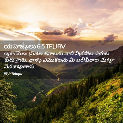 Picture 02 - యెహెజ్కేలు 6:5 TELIRV - ఇశ్రాయేలు ప్రజల - Bible Verse Picture