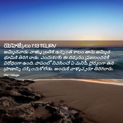 Picture 02 - యెహెజ్కేలు 7:13 TELIRV - అమ్మినవాడు వాళ్ళు - Bible Verse Picture