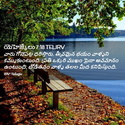 Picture 02 - యెహెజ్కేలు 7:18 TELIRV - వారు గోనెపట్ట - Bible Verse Picture