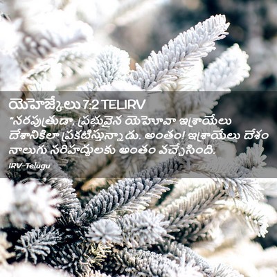 Picture 02 - యెహెజ్కేలు 7:2 TELIRV - “నరపుత్రుడా, - Bible Verse Picture