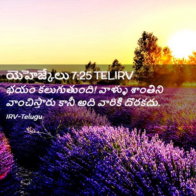 Picture 02 - యెహెజ్కేలు 7:25 TELIRV - భయం కలుగుతుంది! - Bible Verse Picture