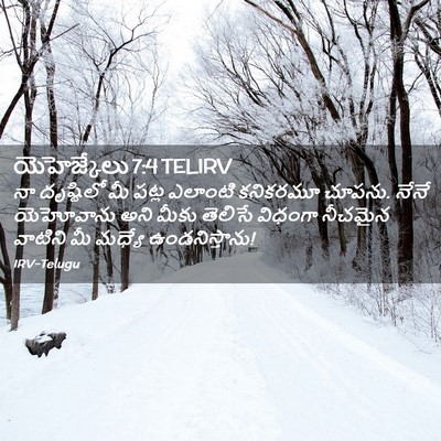 Picture 02 - యెహెజ్కేలు 7:4 TELIRV - నా దృష్టిలో మీ - Bible Verse Picture