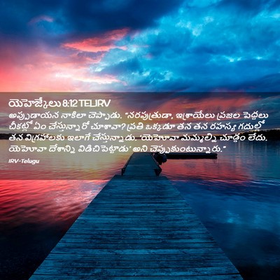 Picture 02 - యెహెజ్కేలు 8:12 TELIRV - అప్పుడాయన నాకిలా - Bible Verse Picture