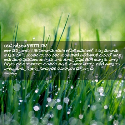 Picture 02 - యెహెజ్కేలు 8:16 TELIRV - ఇలా చెప్పి ఆయన - Bible Verse Picture