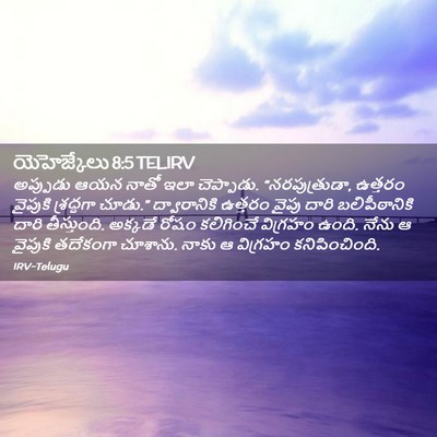 Picture 02 - యెహెజ్కేలు 8:5 TELIRV - అప్పుడు ఆయన నాతో - Bible Verse Picture