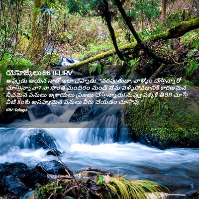 Picture 02 - యెహెజ్కేలు 8:6 TELIRV - అప్పుడు ఆయన నాతో - Bible Verse Picture