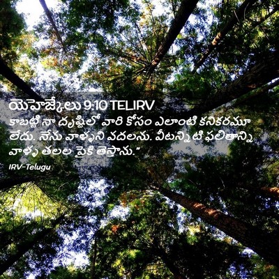 Picture 02 - యెహెజ్కేలు 9:10 TELIRV - కాబట్టి నా - Bible Verse Picture