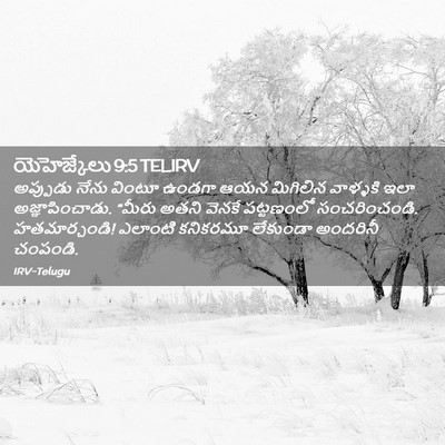 Picture 02 - యెహెజ్కేలు 9:5 TELIRV - అప్పుడు నేను - Bible Verse Picture