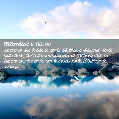 Picture 02 - యెహోషువ 1:1 TELIRV - యెహోవా తన సేవకుడు - Bible Verse Picture