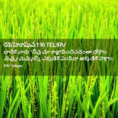 Picture 02 - యెహోషువ 1:16 TELIRV - దానికి వారు “నీవు - Bible Verse Picture