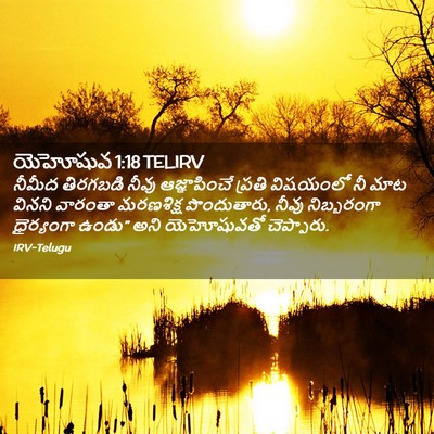 Picture 02 - యెహోషువ 1:18 TELIRV - నీమీద తిరగబడి - Bible Verse Picture