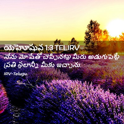 Picture 02 - యెహోషువ 1:3 TELIRV - నేను మోషేతో - Bible Verse Picture