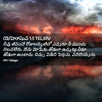 Picture 02 - యెహోషువ 1:5 TELIRV - నీవు జీవించే - Bible Verse Picture