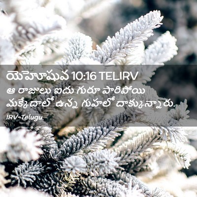 Picture 02 - యెహోషువ 10:16 TELIRV - ఆ రాజులు ఐదు గురూ - Bible Verse Picture