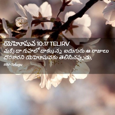 Picture 02 - యెహోషువ 10:17 TELIRV - మక్కేదా గుహలో - Bible Verse Picture