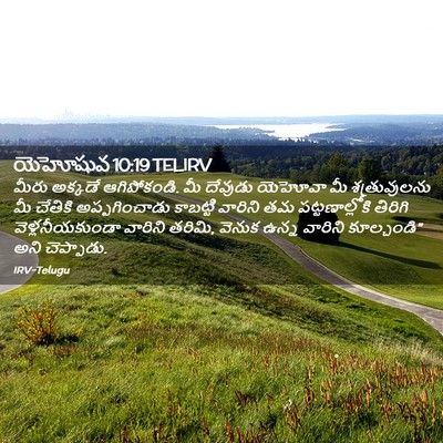 Picture 02 - యెహోషువ 10:19 TELIRV - మీరు అక్కడే - Bible Verse Picture