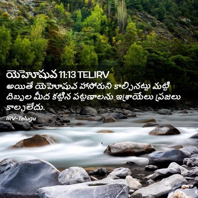 Picture 02 - యెహోషువ 11:13 TELIRV - అయితే యెహోషువ - Bible Verse Picture